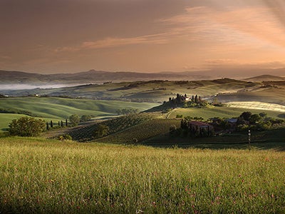 A scene of green, rolling hills and a light yellow and pink sky
